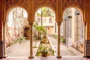 Granada: Alhambra & Gardens Tour w/Nasrid Palaces Option