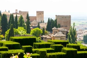Granada: Alhambra & Gardens Tour w/Nasrid Palaces Option