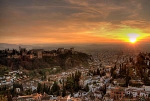 Granada: tour privado de la Alhambra, Generalife y Albaicín