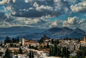 Granada: tour privado de la Alhambra, Generalife y Albaicín