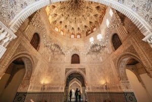 Granada: Alhambra Guided Tour with Nasrid Palaces & Gardens