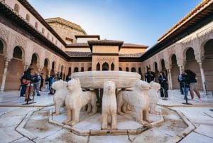 Granada: Alhambra Guided Tour with Nasrid Palaces & Gardens