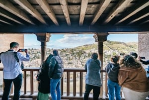 Granada: Alhambra Guided Tour with Nasrid Palaces & Gardens