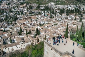 Granada: Alhambra Guided Tour with Nasrid Palaces & Gardens