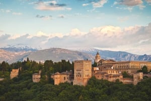 Granada: Tour guiado de la Alhambra con los Palacios Nazaríes
