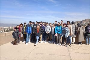 Granada: Alhambra, Nasridenpaläste, & Generalife Geführte Tour