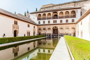 Granada: Alhambra & Nasrid-paladser tur med billetter