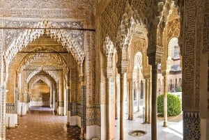Granada: Alhambra & Nasrid-paladser tur med billetter