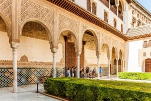 Granada: Alhambra & Nasrid-paladser tur med billetter