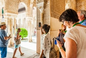 Granada: Alhambra & Nasrid-paladser tur med billetter