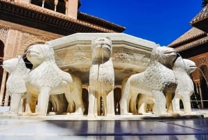 Granada: Alhambra & Nasrid-paladser tur med billetter