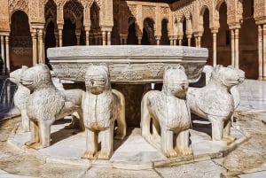 Granada: Alhambra & Nasrid-paladser tur med billetter