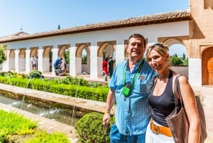 Granada: Alhambra & Nasrid-paladser tur med billetter