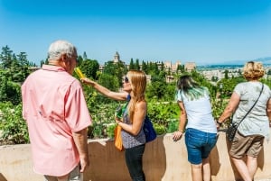Granada: Alhambra & Nasrid-paladser tur med billetter