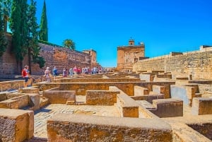 Granada: Alhambra & Nasrid-paladser tur med billetter