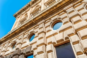 Granada: Alhambra & Nasrid-paladser tur med billetter