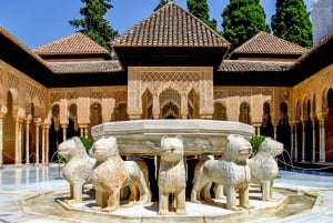 Granada: Alhambra & Nasrid-paladser tur med billetter