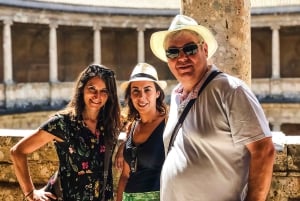 Granada: Alhambra & Nasrid-paladser tur med billetter