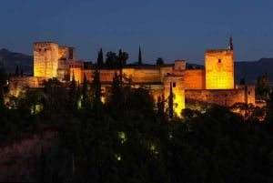 Granada: Alhambra Night Visit Entry Ticket