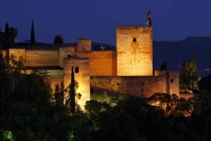 Granada: Alhambra Night Visit Entry Ticket