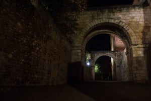Granada: Alhambra Night Visit Entry Ticket