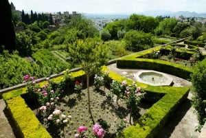 Granada: Alhambra Palace Guided Tour