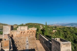 Granada: Alhambra Ticket und geführte Tour mit den Nasridenpalästen