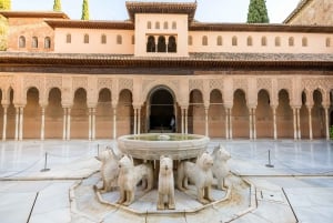 Granada: Alhambra Ticket und geführte Tour mit den Nasridenpalästen