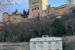 Гранада: Экскурсия с гидом по арабским памятникам