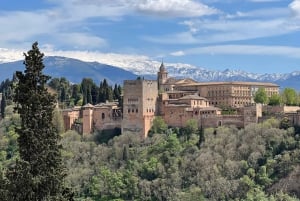 Гранада: Экскурсия с гидом по арабским памятникам