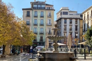 Гранада: Экскурсия с гидом по арабским памятникам