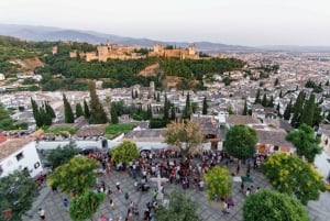 Granada: Prywatna przyspieszona wycieczka po Alhambrze i Albaicin