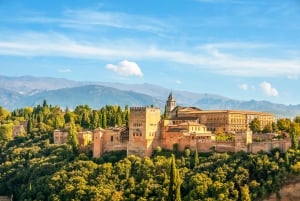 Granada: Prywatna przyspieszona wycieczka po Alhambrze i Albaicin