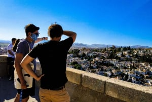 Granada: Private Full Alhambra Tour with Nasrid Palaces