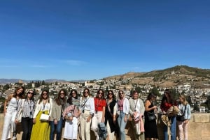 Granada: Private Full Alhambra Tour with Nasrid Palaces