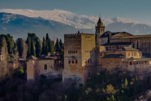 Granada: The Alhambra and Nasrid Palaces Guided Night Tour