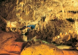 Best Natural Attractions in Barbados