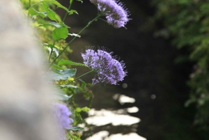Hiking Tour: Hidden Water Trails of the Alhambra