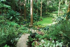 Hunte's Gardens