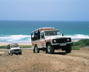 Island Safari