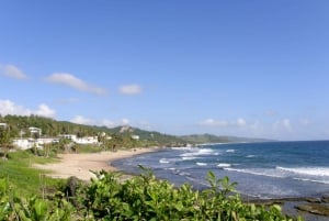 Klein Engeland: Tour van een halve dag in Barbados