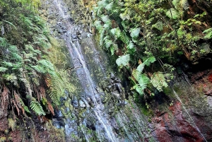 Madeira: 25 Fountains Rabaçal Forest Walk