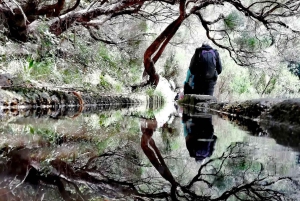 Madeira: 25 Fountains Rabaçal Forest Walk