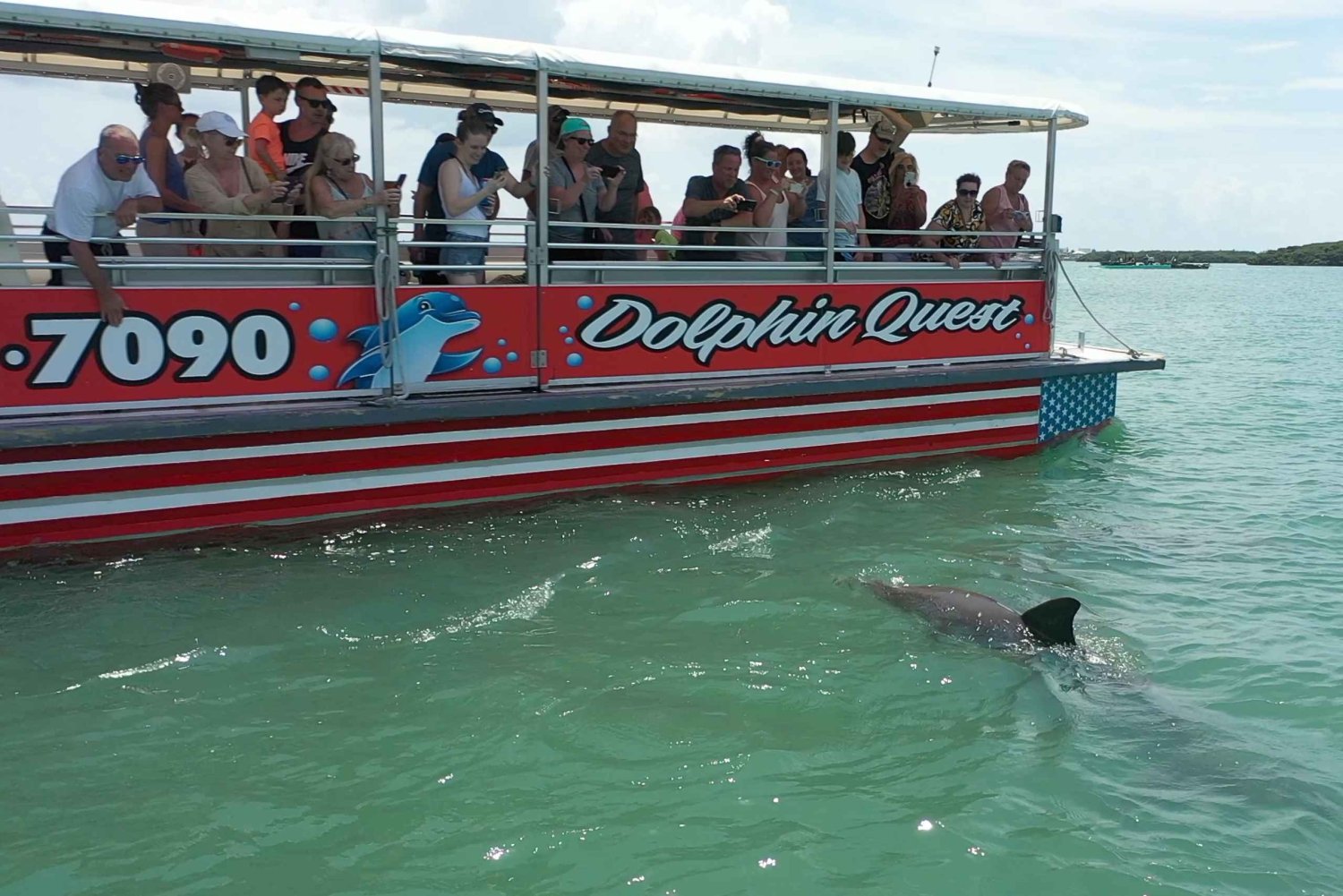 Madeira Beach: Guided Dolphin Watching Eco-Friendly Cruise