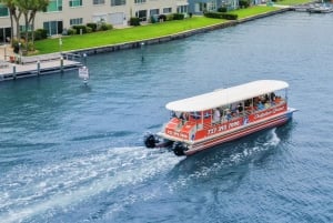 Madeira Strand: Guidet øko-venligt krydstogt med delfinobservation