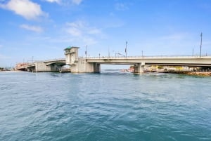Madeira Strand: Guidet øko-venligt krydstogt med delfinobservation