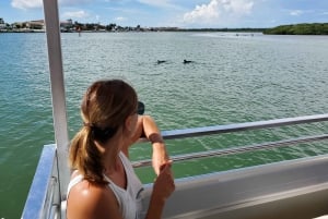 Madeira Strand: Guidet øko-venligt krydstogt med delfinobservation