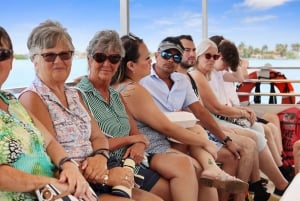Madeira Strand: Guidet øko-venligt krydstogt med delfinobservation