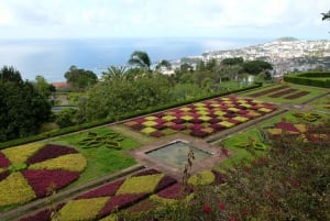 Madeira: Botanischer Garten in einer Tuk-Tuk Tour