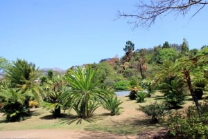 Madeira: Botanischer Garten in einer Tuk-Tuk Tour